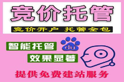 网络推广竞价实战：某电商平台的成功案例